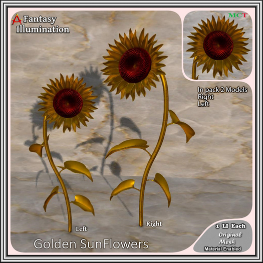 SUNFLOWERS