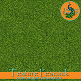 Landscape Artificial Grass 1 Seamless