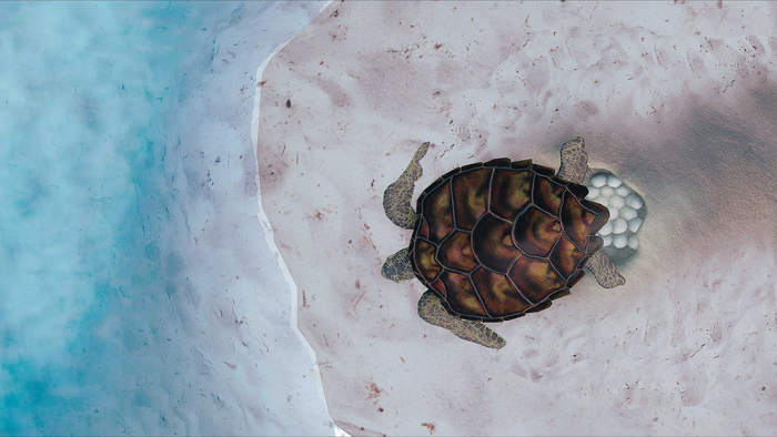 Nesting Turtle by Lotus Li