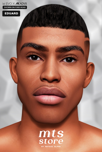 [MTS] - FACE SKIN Evox ( EDUARD ) RICH