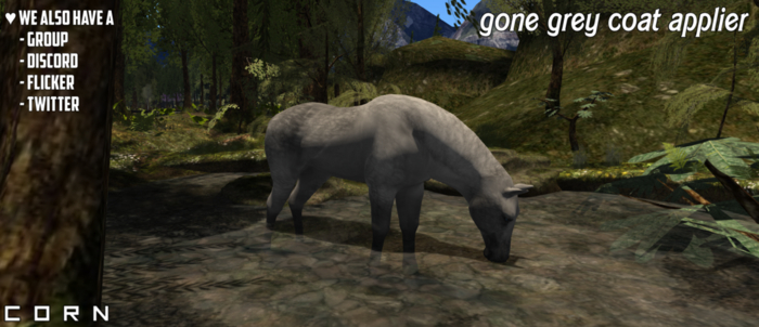 C O R N - gone grey
