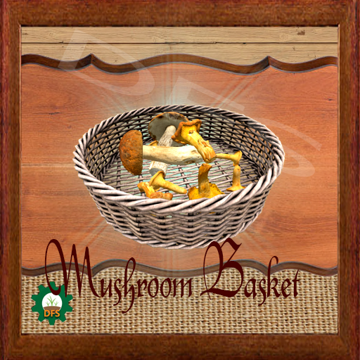 DFS Mushroom Basket