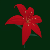 {Papillon} Lilium Tier°1 Enormous/Dull,〘Energetic Lilium〙