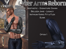 Vision Cyber Arms Reborn 1