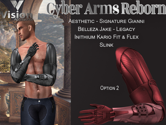Vision Cyber Arms Reborn 2