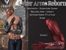 Vision Cyber Arms Reborn 2