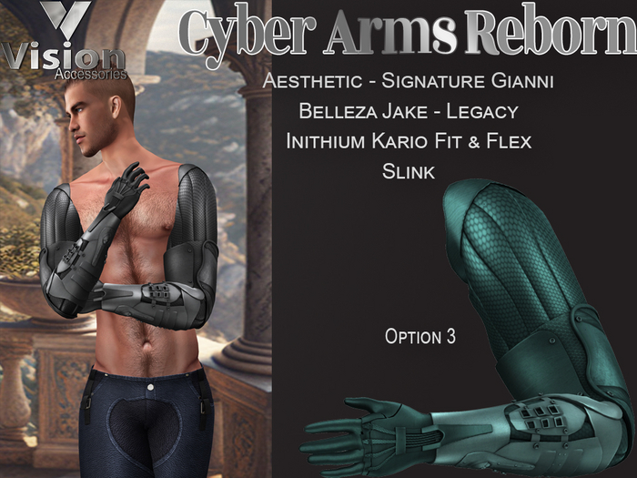 Vision Cyber Arms Reborn 3