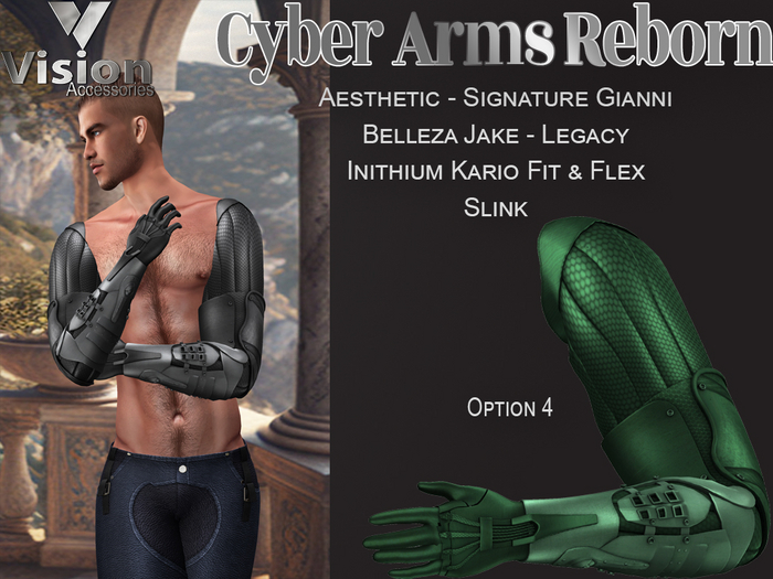 Vision Cyber Arms Reborn 4