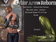 Vision Cyber Arms Reborn 5