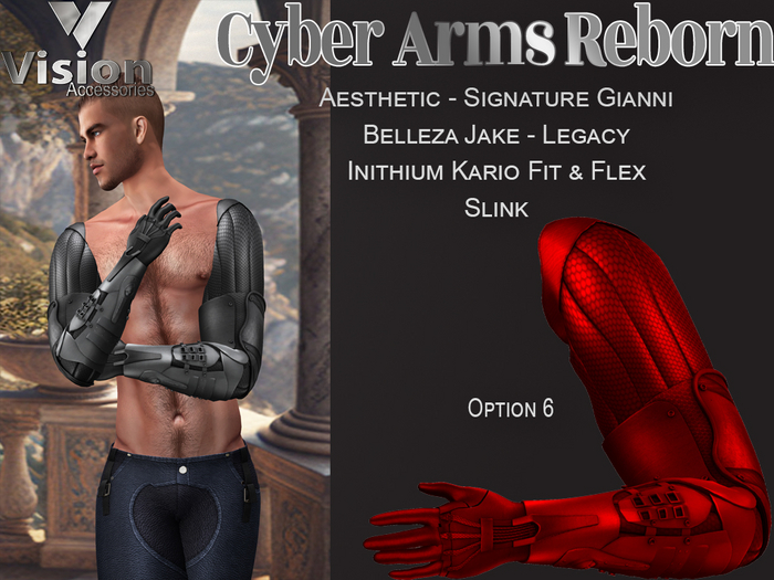 Vision Cyber Arms Reborn 6