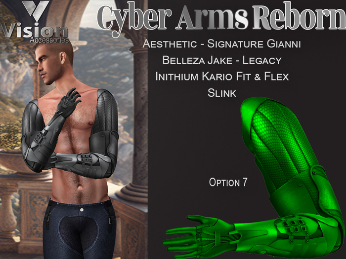 Vision Cyber Arms Reborn 7