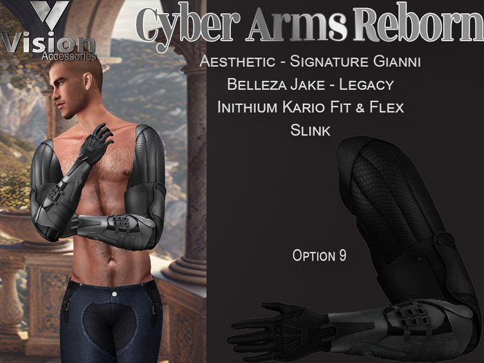 Vision Cyber Arms Reborn 9