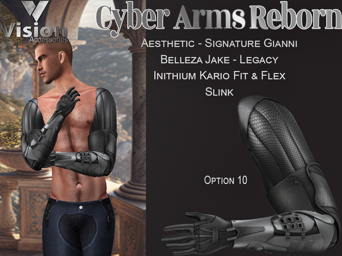 Vision Cyber Arms Reborn 10