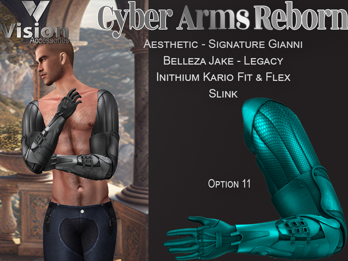 Vision Cyber Arms Reborn 11