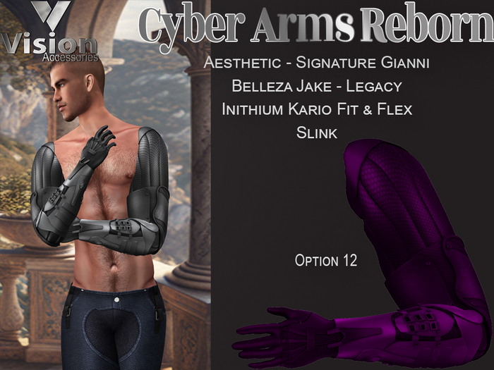 Vision Cyber Arms Reborn 12