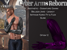 Vision Cyber Arms Reborn 12
