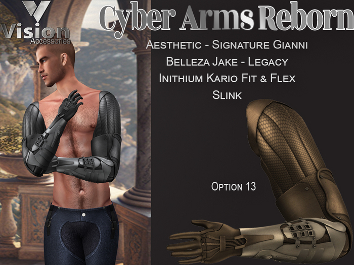 Vision Cyber Arms Reborn 13