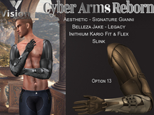 Vision Cyber Arms Reborn 13