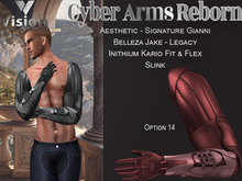 Vision Cyber Arms Reborn 14
