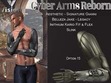 Vision Cyber Arms Reborn 15