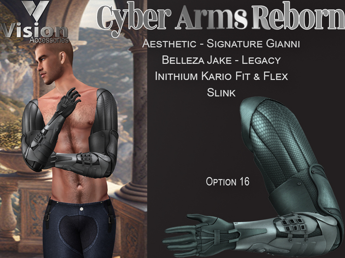 Vision Cyber Arms Reborn 16
