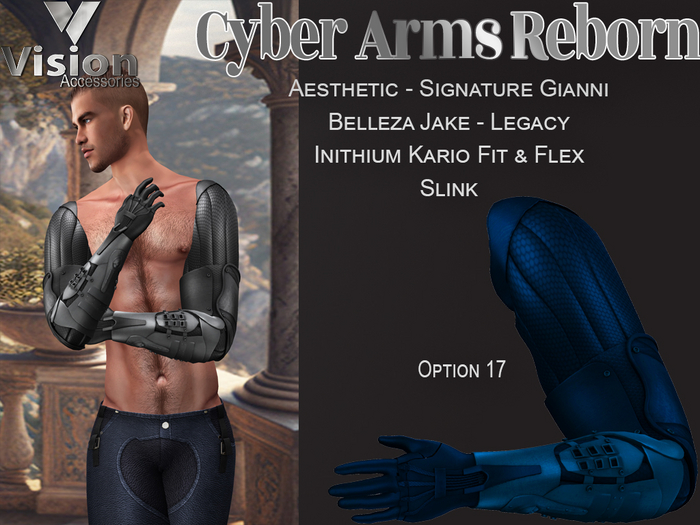 Vision Cyber Arms Reborn 17