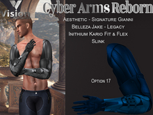Vision Cyber Arms Reborn 17