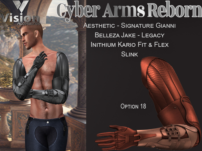 Vision Cyber Arms Reborn 18