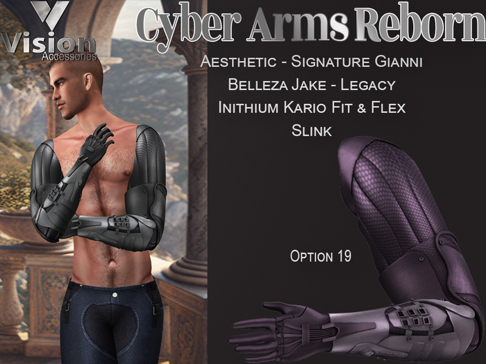 Vision Cyber Arms Reborn 19