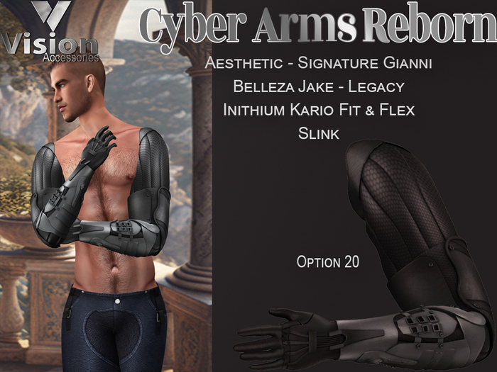 Vision Cyber Arms Reborn 20
