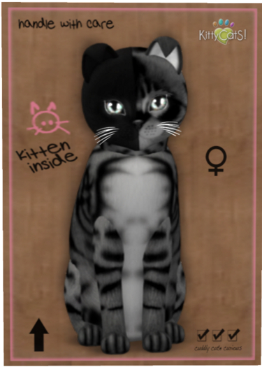 KittyCatS Box - Chimera - Charcoal Mist