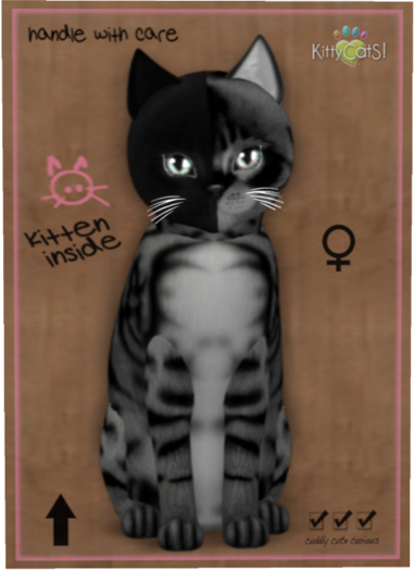 KittyCatS Box - Chimera - Charcoal Mist