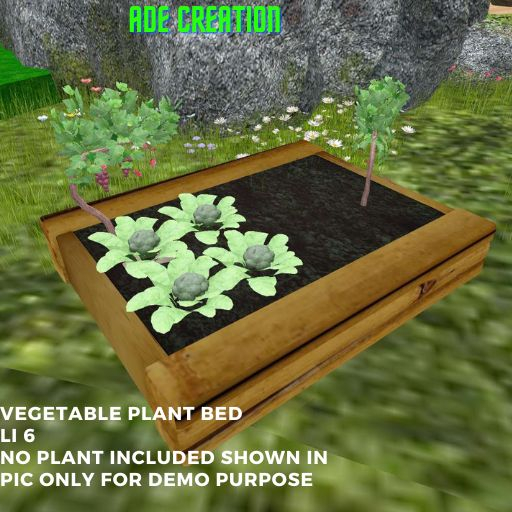 Plant Vegetable Bed