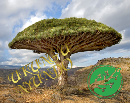 [G&S] D0MKTA : branches