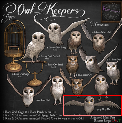 13. *HEXtraordinary* Gray Owl Perched