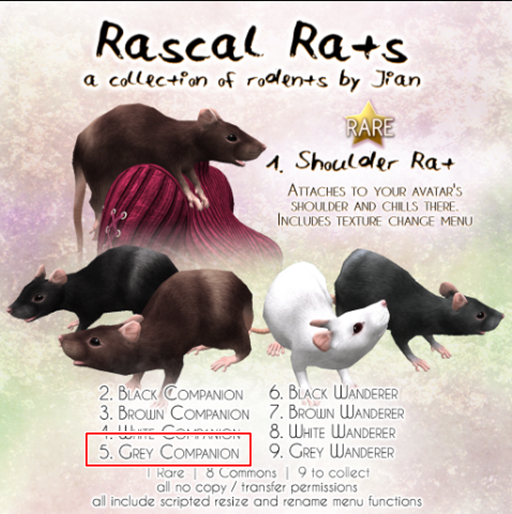 JIAN Rascal Rats 5. Grey Companion BOX