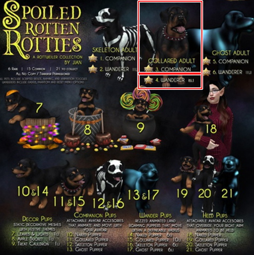 JIAN Spoiled Rotties 4. Collared Adult Wanderer BOX
