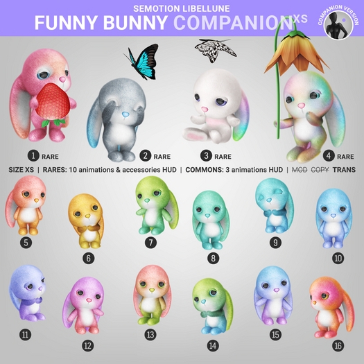 3. SEmotion Libellune Funny Bunny XS Companion RARE