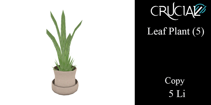 Crucial - Leaf Plant (5) 5 Li (box)