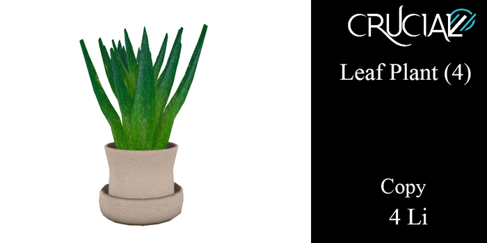 Crucial - Aloa Plant (4) 4Li (box)
