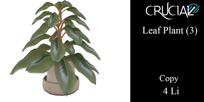 Crucial - Leaf Plant (3) 4Li (box)