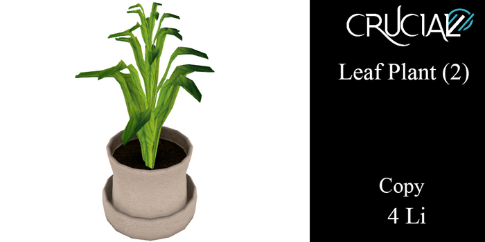 Crucial - Leaf Plant (2) 4Li (box)