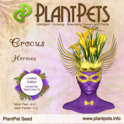 PlantPet Seed [Crocus *Hermes*] (LIMITED)