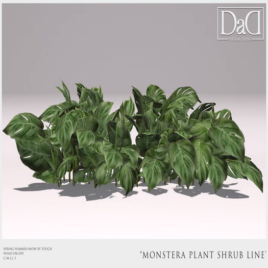 DaD - Monstera Plant shrub - Line 