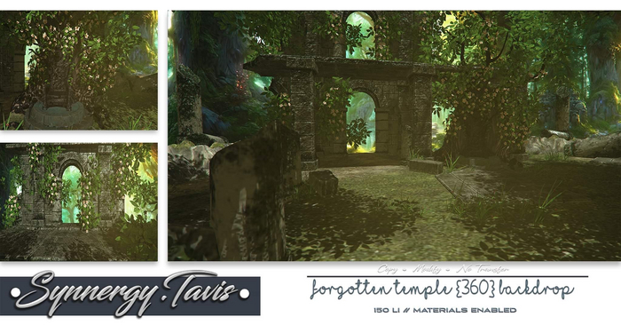 SYNNERGY.TAVIS//Forgotten Temple {360} Backdrop