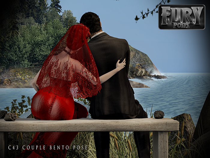 Fury Poses - C43