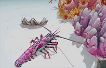 Party Lobster Vibes by Lotus Li
