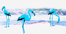 Flamingo Blues by Lotus Li