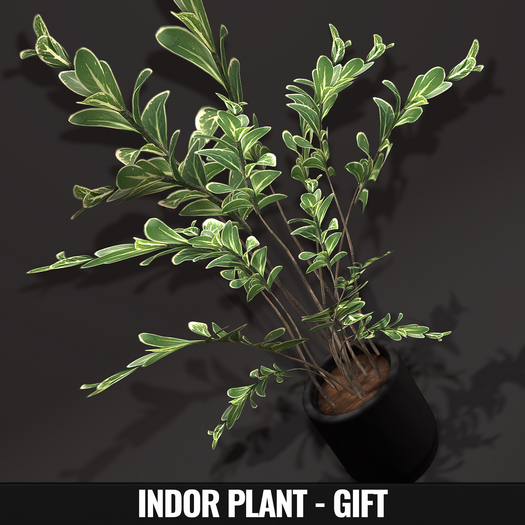 Second Life Marketplace - [YAN] Group gift plant - v.2
