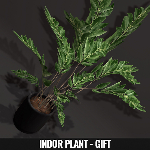 Second Life Marketplace - [YAN] Group gift plant - v.3